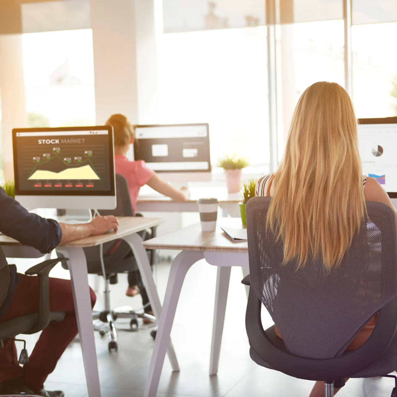 Professional working at two computer monitors.