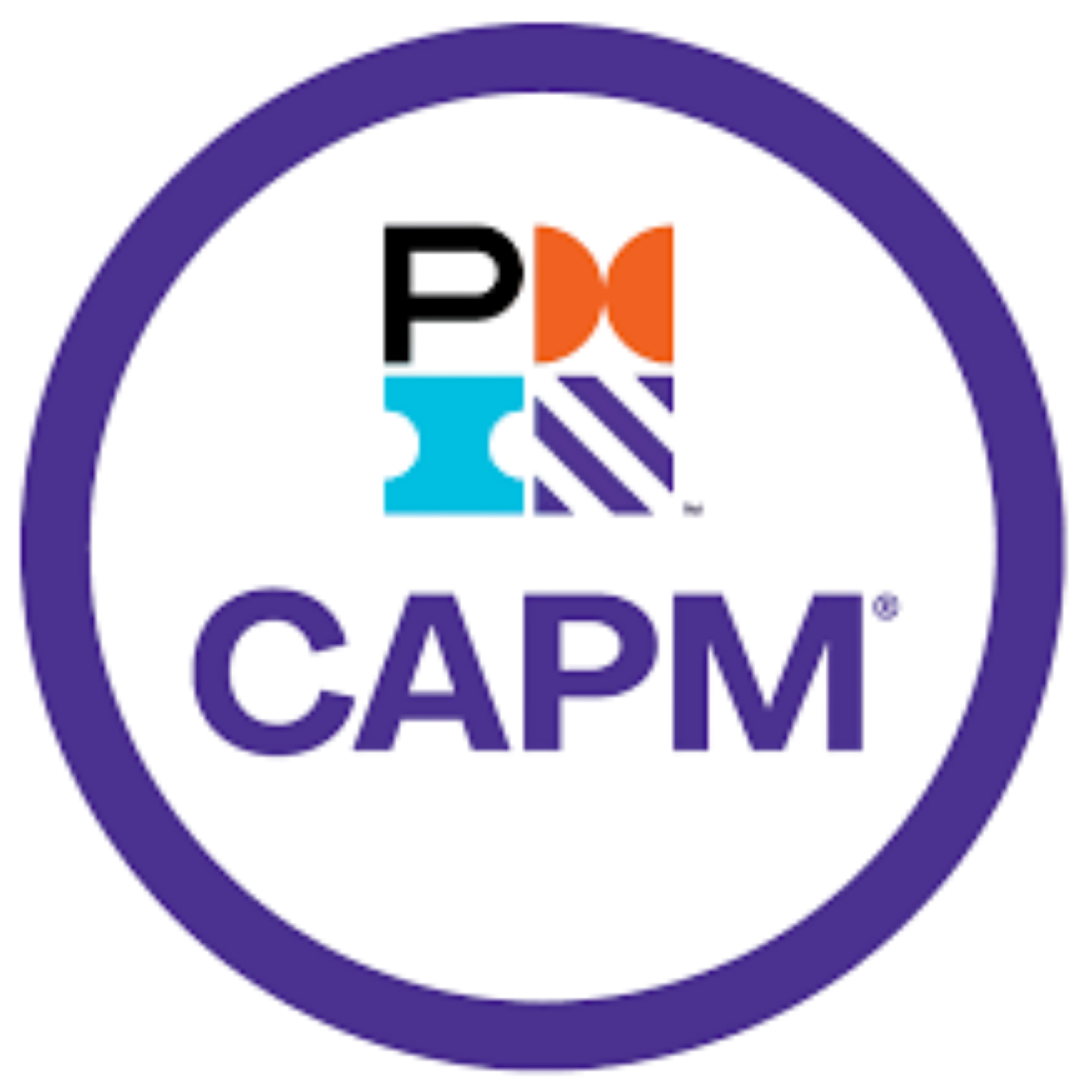 PMI CAPM