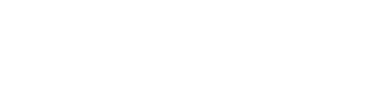 Cyber Brain Academy